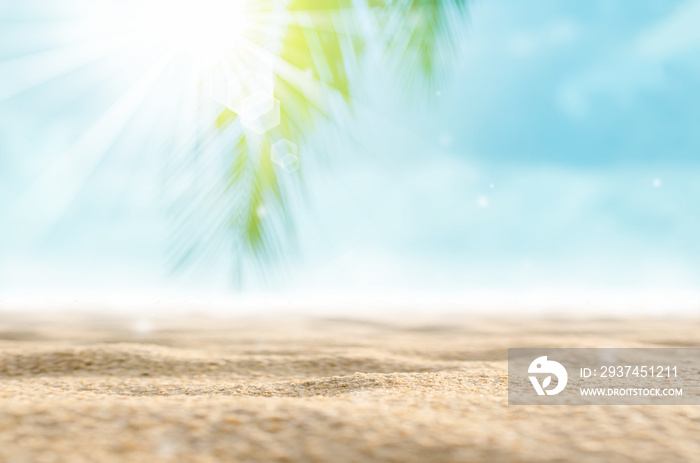 在热带海滩上模糊美丽的自然绿色棕榈叶，伴随着波折的太阳光波抽象背景