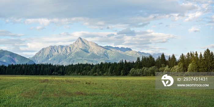 Green meadow with small forest and mount Krivan peak (Slovak symbol) in distance on summer afternoon