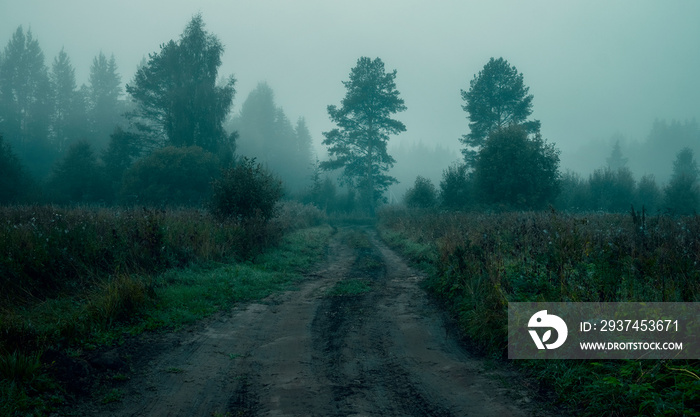 Rural road in the fog before dawn in the forest. Scary atmosphere of Halloween and sleepy hollow