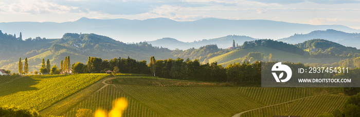 南斯泰里亚葡萄园景观，靠近奥地利Gamlitz，Eckberg，欧洲。从葡萄酒中可以看到葡萄山