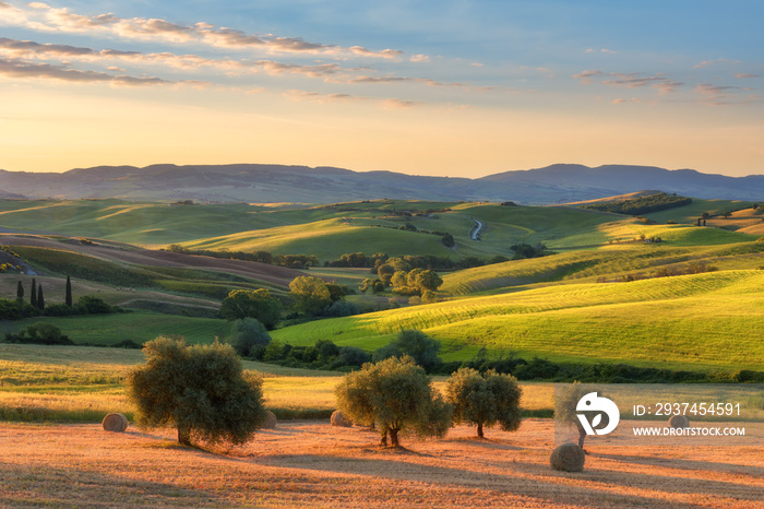 Magnificent spring landscape at sunrise.Beautiful view of typical tuscan farm house, green wave hill