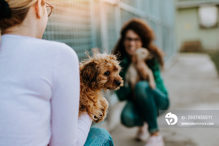 Two young adult women adopting beautiful dogs at animal shelter.