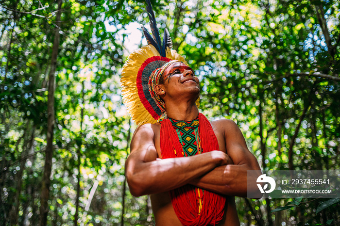 Indian from the Pataxó tribe, with feather headdress. Young Brazilian Indian looking to the right, s