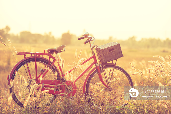 beautiful landscape image with Bicycle at summer grass field.classic bicycle,old bicycle style for g