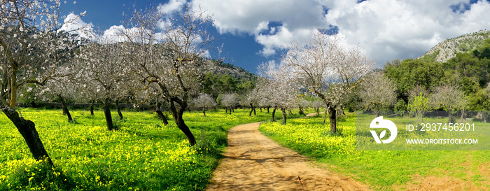 Lands of raixa