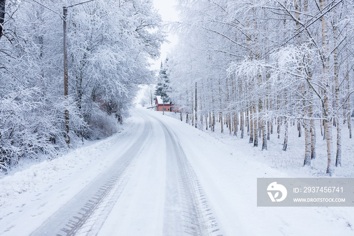 Small road at winter