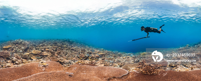 Spearfisher hunting on healthy reef