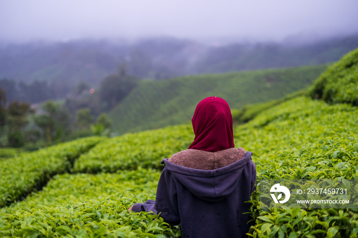 戴着红色头巾的可爱年轻穆斯林妇女的肖像，微笑着，快乐地欣赏着美丽的自然茶