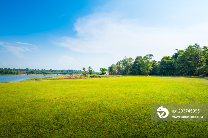 green grass field with lake in public park