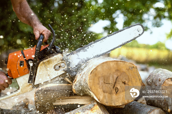 Chainsaw cutting through the pile of wood. Sawdust flying around.