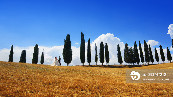 wedding couple in Tuscany landscape