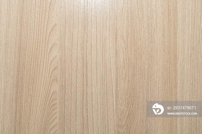 white soft wood surface background. walnuts, oak wood texture with soft wood grains. texture of the 