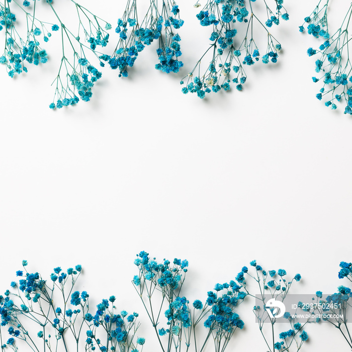 Blue babys breath, gypsophila dry flowers on white background. flat lay, top view, copy space