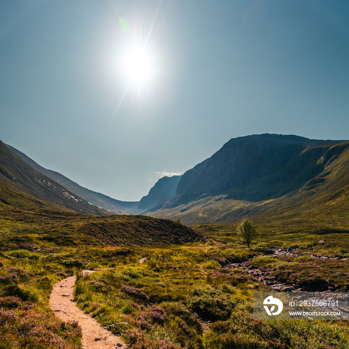 Ben Nevis panorama view in bright summer day in Scotland, near Fort Williams