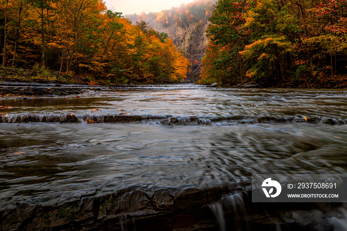 日出时的陶恩诺克瀑布溪，雾霾天的秋天色彩鲜艳