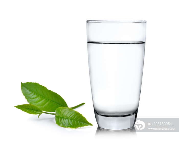 Glass of water and tea leaves ilsolated on white background