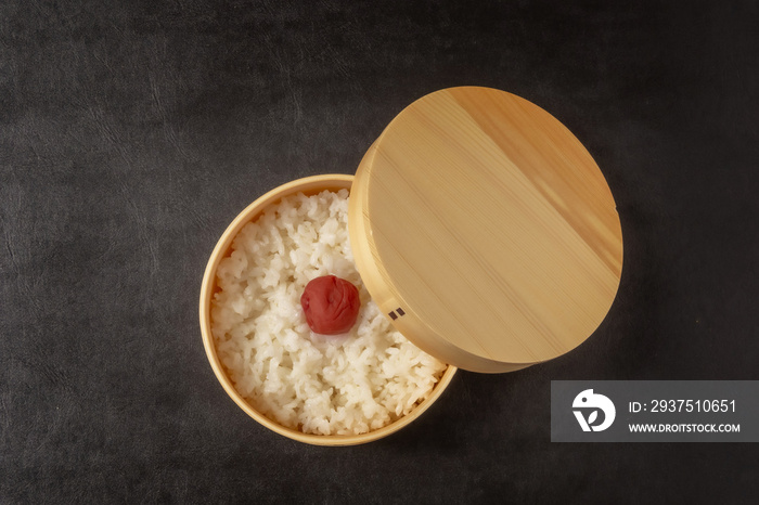 おべんとう　Japanese style famous lunch box (bento)