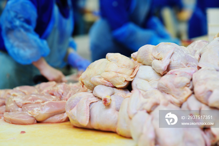 Plant for processing poultry in the food industry. chicken