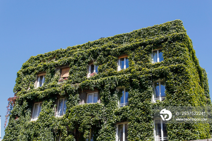 Immeuble végétalisé à Paris