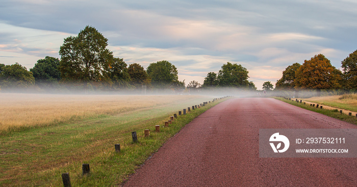 Early morning fog settling into the Richmond Park in London