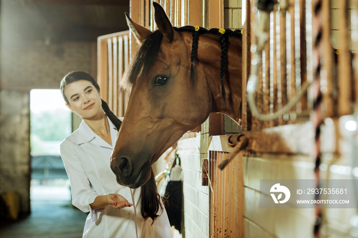 Some food. Dark-haired appealing woman with long braid feeling unbelievable while giving horse some 