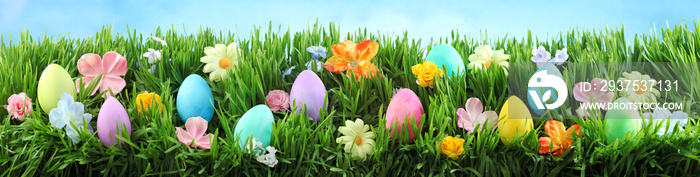 绿草上鲜艳多彩的复活节彩蛋，蓝天下鲜花盛开