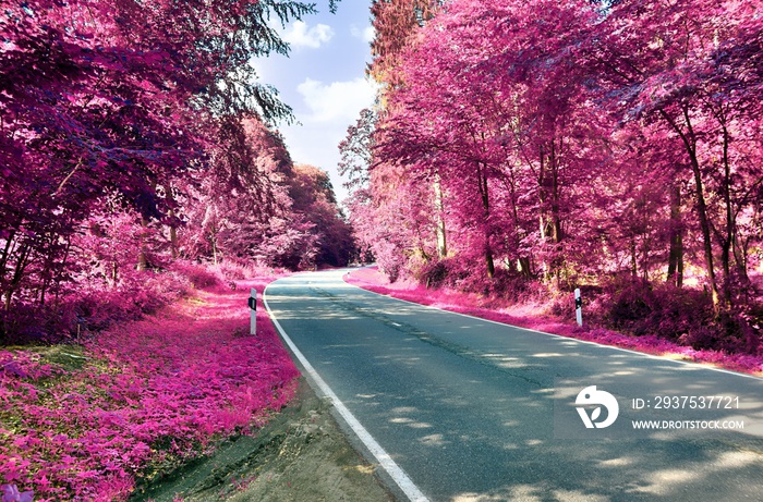 欧洲乡村景观的美丽粉色和紫色红外照片