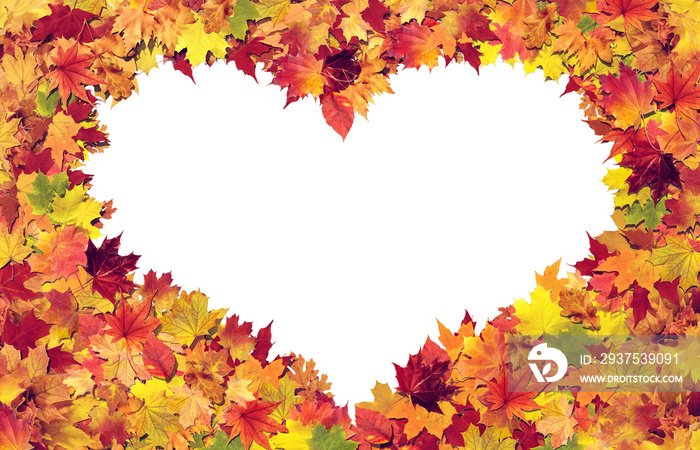 Heart made from autumn leaves isolated on white background 3D Rendering