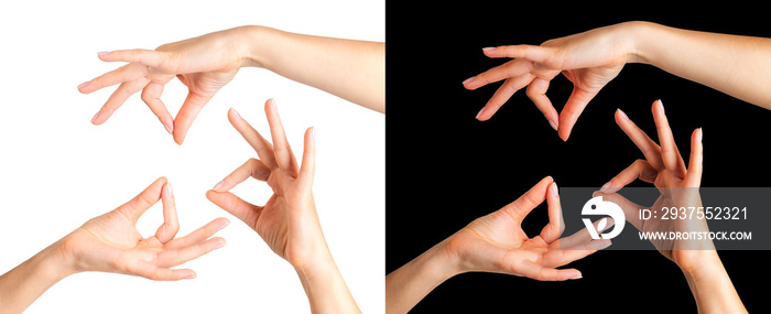 Set of women hands showing mudra gesture or holding something isolated on a white and black