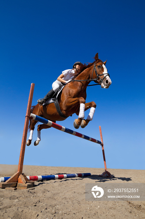 女骑师与纯种马跳过障碍的形象。