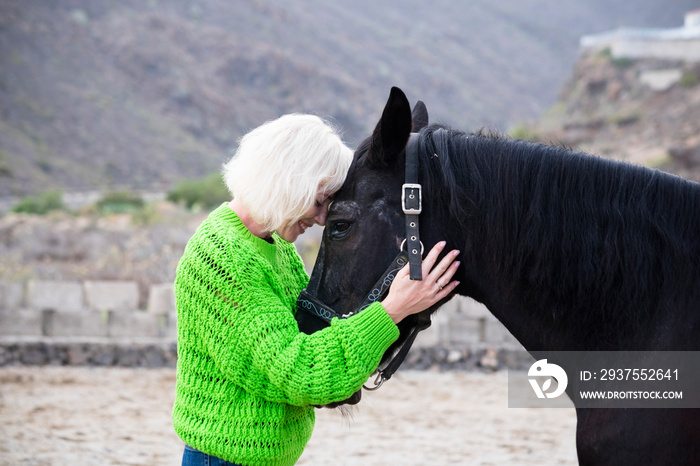 Horse therapy concept with beautiful blonde young woman hug and love a black stallion horse in the c