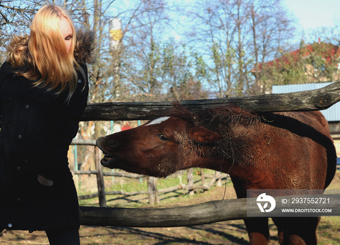 A hungry horse tries to bite a woman