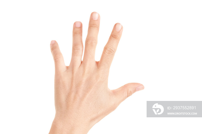 Hand shown five finger symbol on isolated white background for graphic designer.