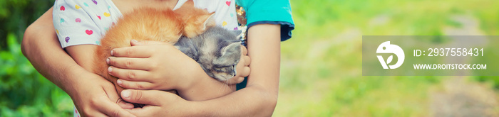 Little kittens in the hands of children. Selective focus.