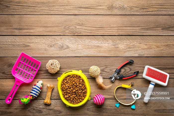 Dry food in bowl, spatula, nail scissors, grass, collar, balls, bones on wooden background Top view 