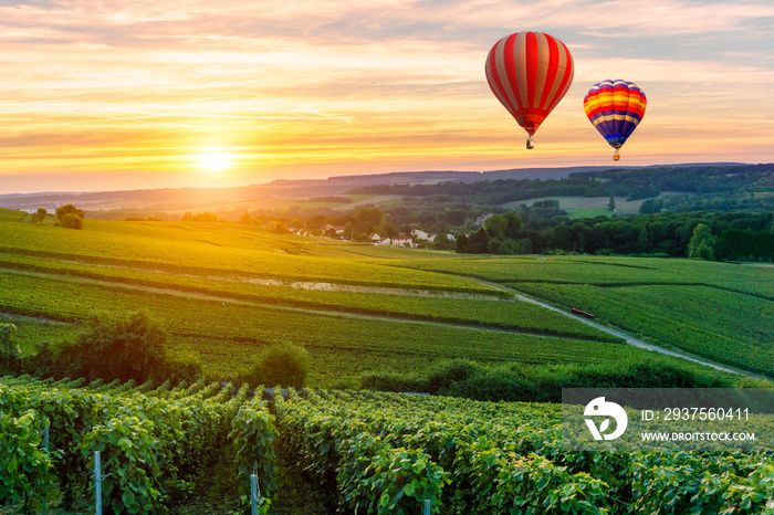 法国兰斯日落时分，五颜六色的热气球在香槟葡萄园上空飞行