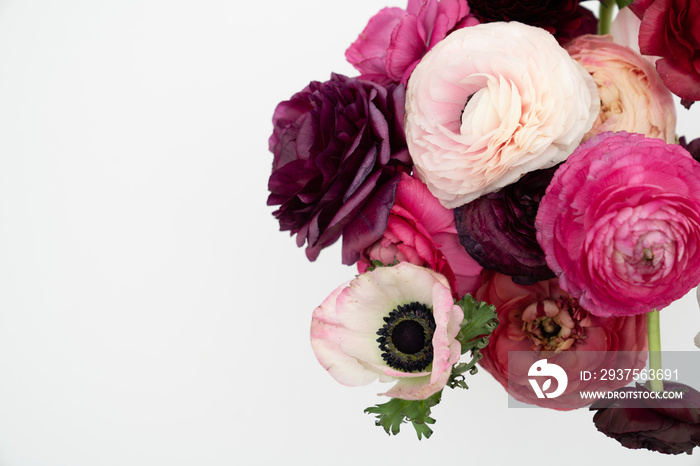 Pink blush and maroon ranunculus and anemone flowers flat lay