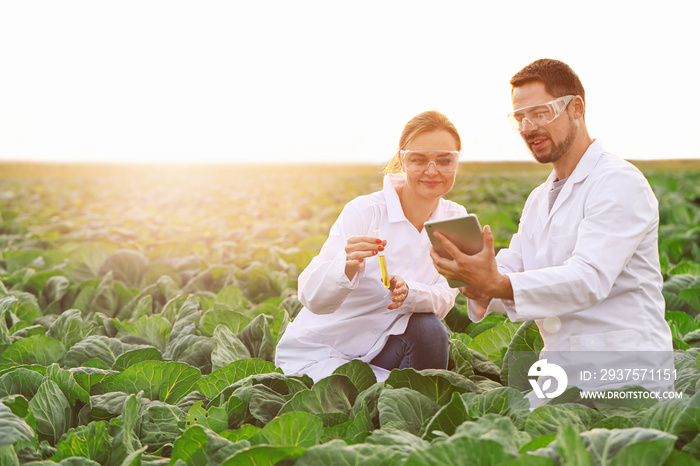 Agricultural engineers working in field