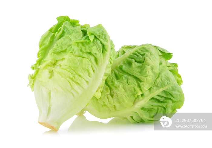 fresh baby cos (lettuce) on white background