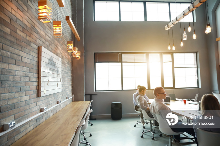 Young people having business meeting in modern office