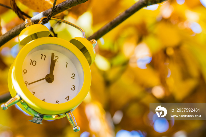 An alarm clock buried in autumn leaves. Five to twelve. Season change concept