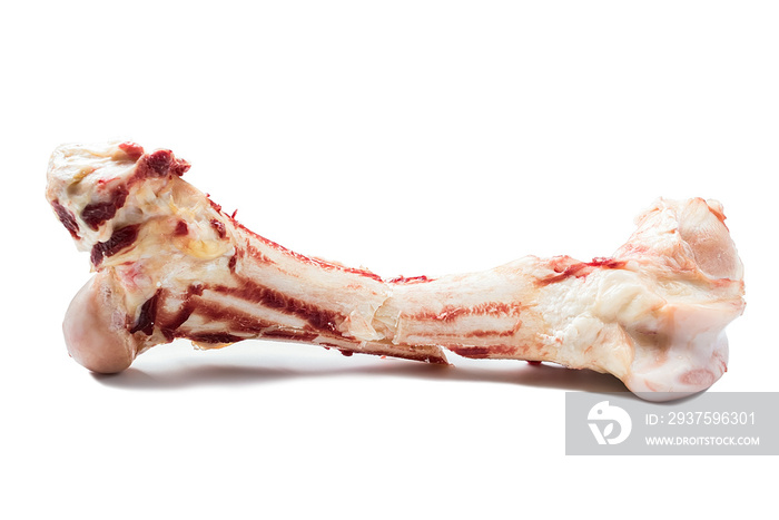 Fresh beef big bone on white background