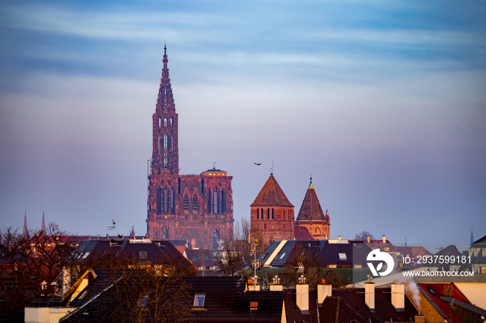 Cathédrale de Strasbourg