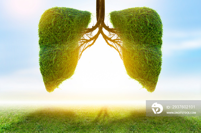 Illustration of lung tree (Environment and Medicine)