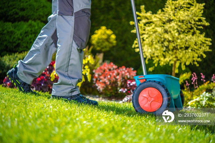 Grass Sowing in the Garden