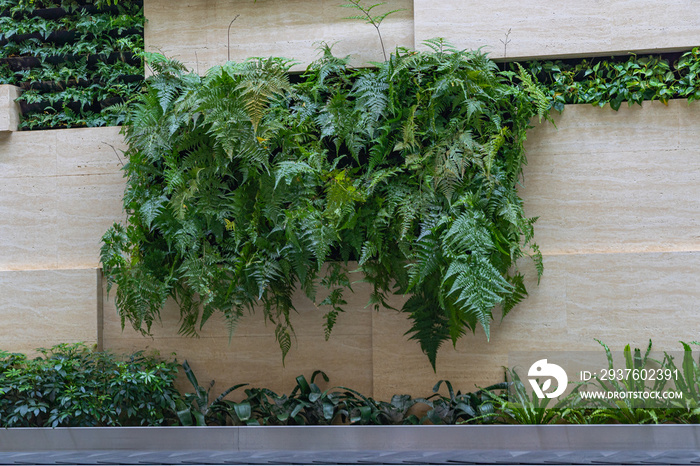 Botanic styled Changi airport decorated with tropical plants