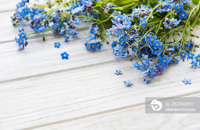 Forget-me-nots on white wooden background