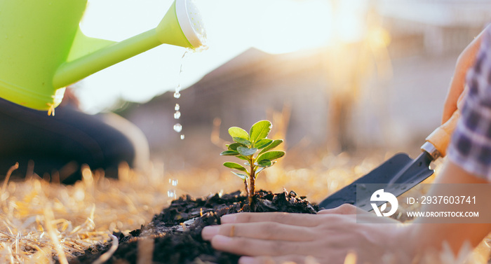 Two men are planting trees and watering them to help increase oxygen in the air and reduce global wa