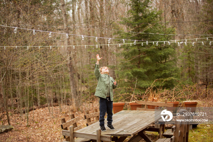 Boy reaching towards lighting equipment while standing on wooden table against trees in forest