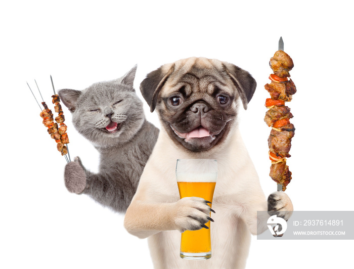 Kitten and puppy with beer and grilled meat on skewer. isolated on white background